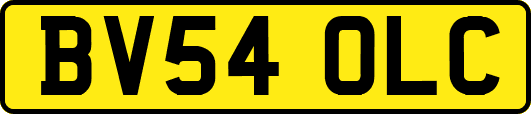 BV54OLC