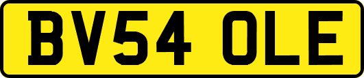 BV54OLE