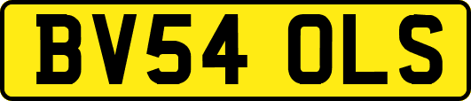 BV54OLS
