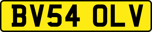 BV54OLV