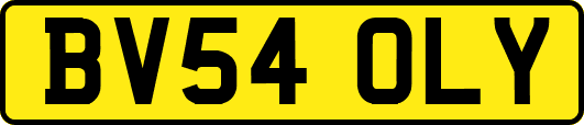 BV54OLY