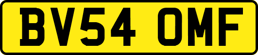 BV54OMF