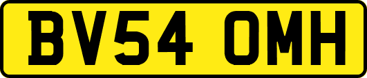 BV54OMH