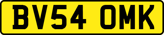 BV54OMK