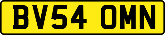 BV54OMN