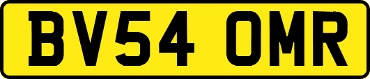 BV54OMR