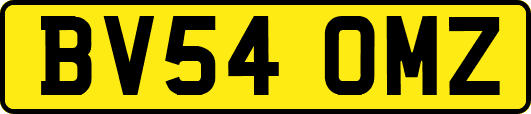 BV54OMZ