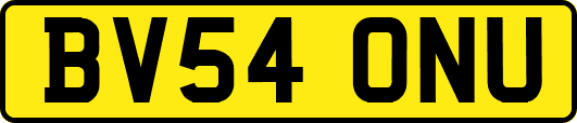 BV54ONU