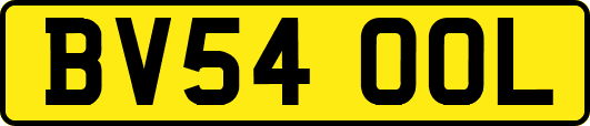 BV54OOL