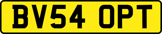 BV54OPT