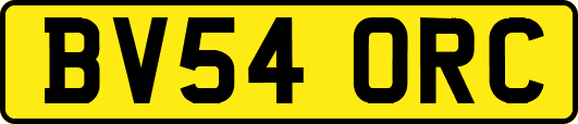 BV54ORC