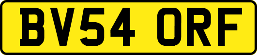 BV54ORF