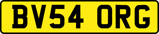 BV54ORG