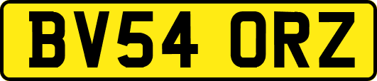 BV54ORZ