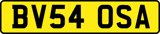 BV54OSA