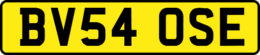 BV54OSE