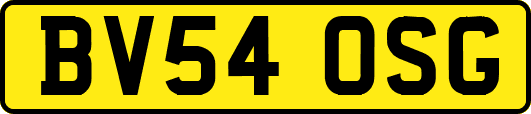 BV54OSG