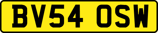 BV54OSW
