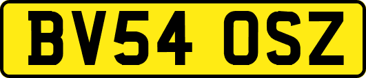 BV54OSZ