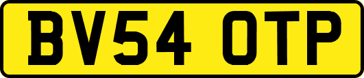 BV54OTP