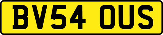 BV54OUS