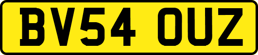 BV54OUZ