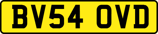BV54OVD