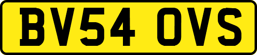 BV54OVS