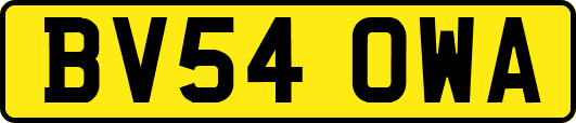 BV54OWA