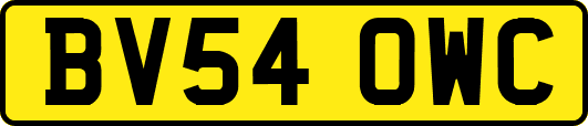 BV54OWC