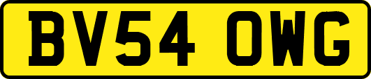 BV54OWG