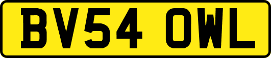 BV54OWL
