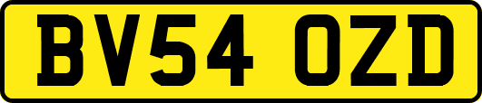 BV54OZD