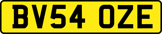BV54OZE