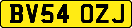 BV54OZJ
