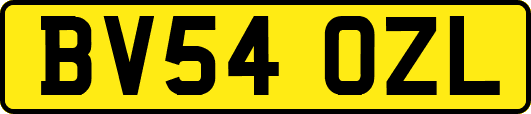 BV54OZL