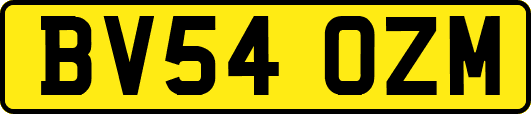 BV54OZM