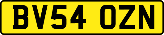 BV54OZN