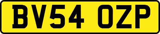 BV54OZP