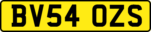 BV54OZS