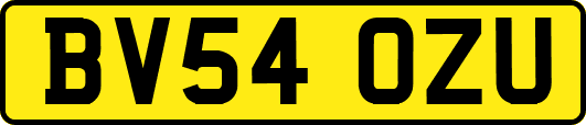 BV54OZU