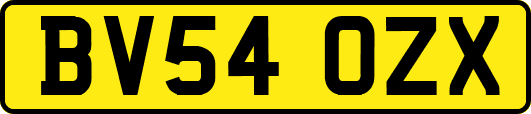 BV54OZX
