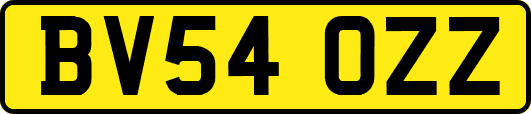 BV54OZZ