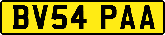 BV54PAA