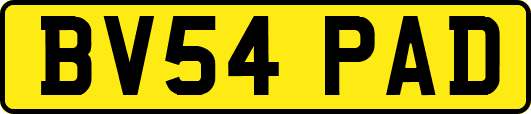 BV54PAD