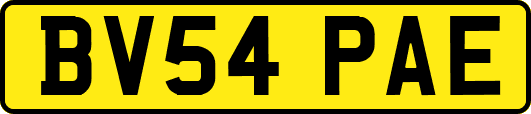 BV54PAE