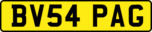 BV54PAG