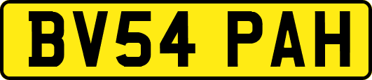 BV54PAH