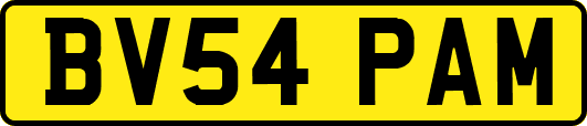 BV54PAM