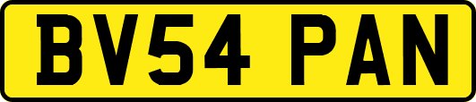 BV54PAN